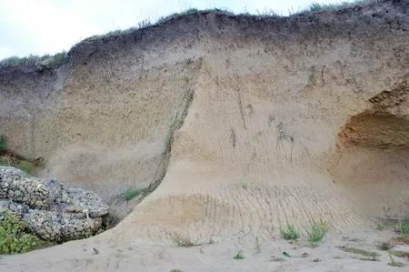 Erosion and Sedimentation Image